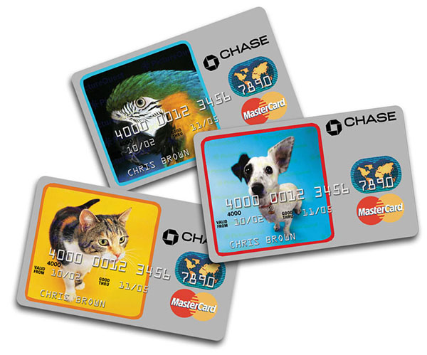 Chase Pet Credit Cards