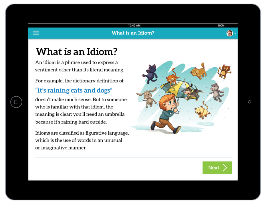 iPad App: What is an Idiom