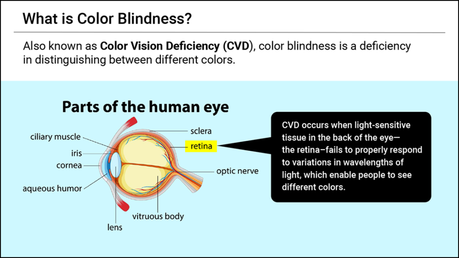 What is Color Blindness?