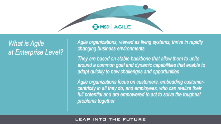 MSD Agile Transformation