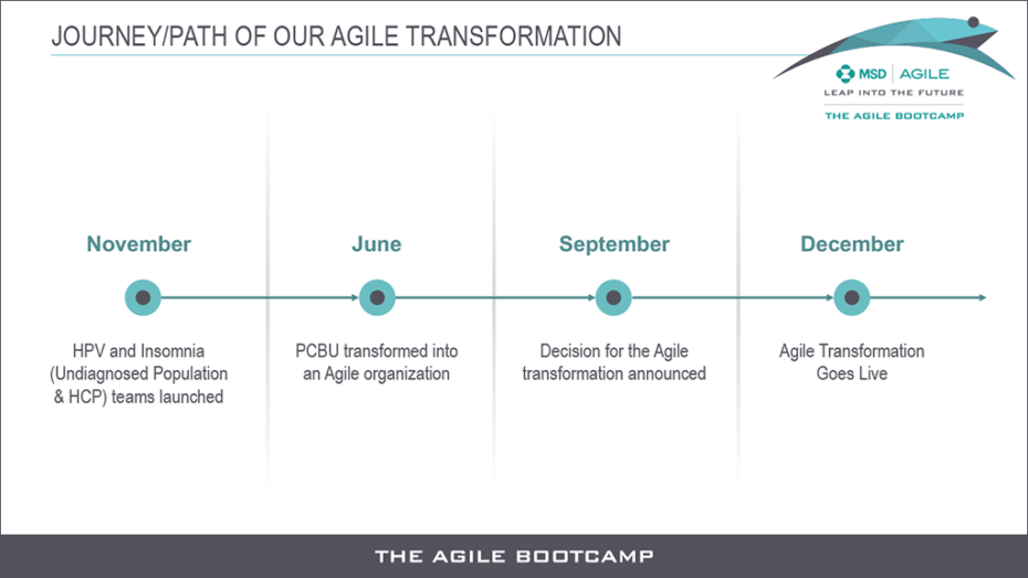 MSD Agile Transformation